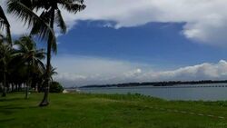 Blk 501 Pasir Ris Street 52 (Pasir Ris), HDB Executive #508227651